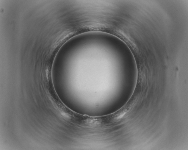 X0000090500117200707131402