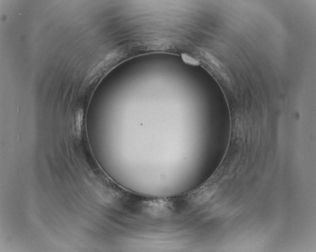 X0000090500118200707131402