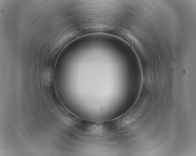X0000090500119200707131402