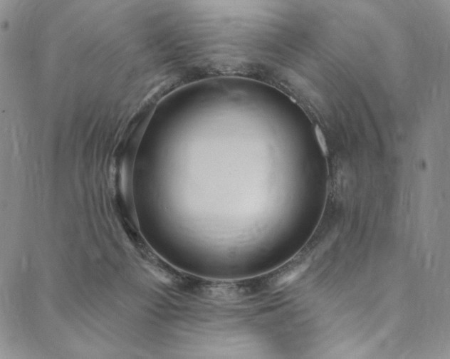 X0000090500121200707131402