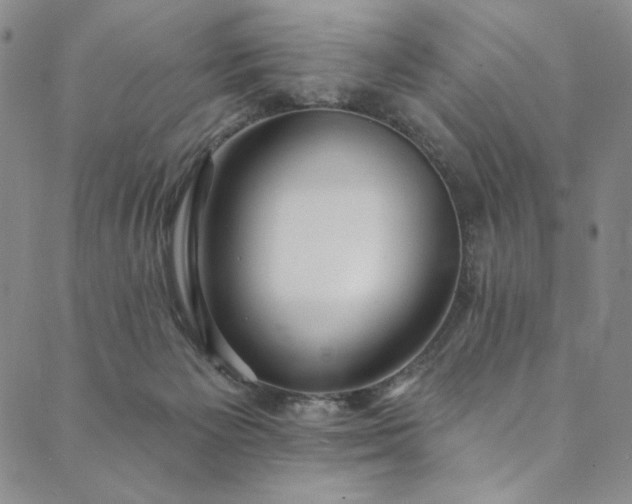 X0000090500125200707131401