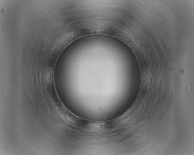 X0000090500126200707131401