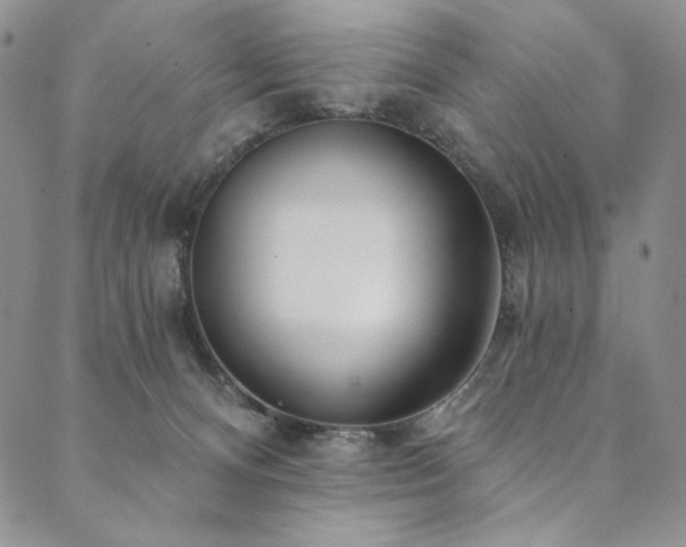 X0000090500128200707131401
