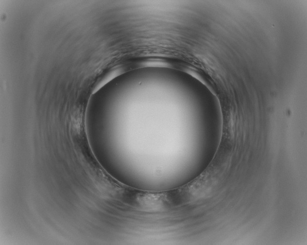X0000090500129200707131401