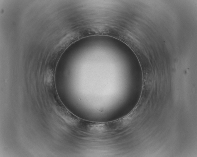 X0000090500132200707131401