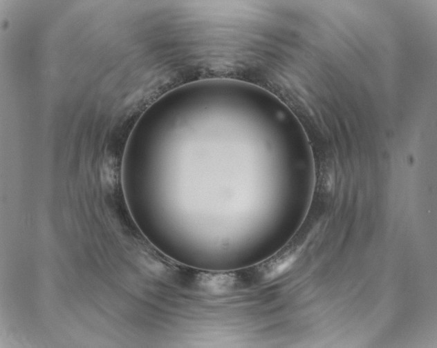 X0000090500135200707131401