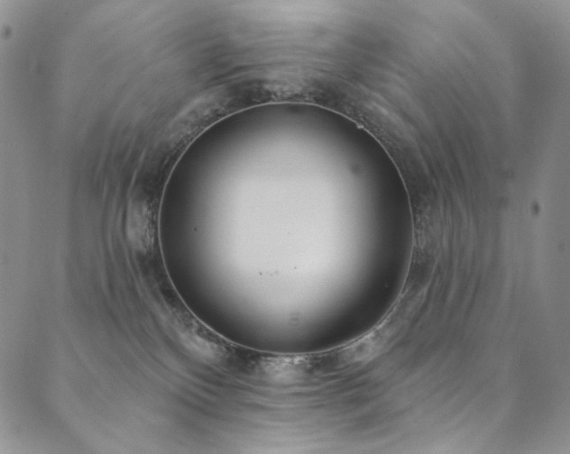 X0000090500136200707131401