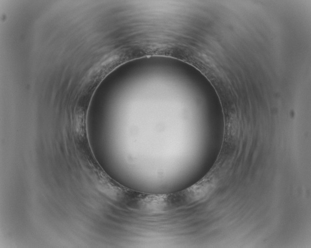 X0000090500138200707131401