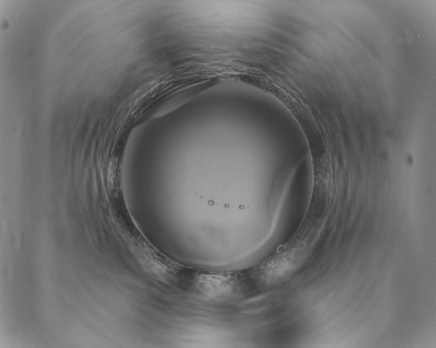 X0000090500139200707131401