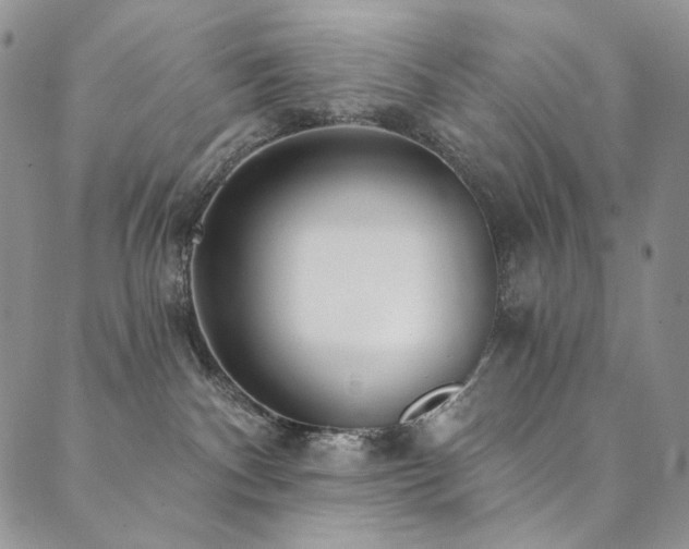 X0000090500140200707131401