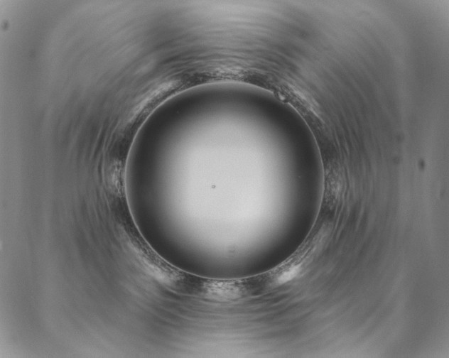 X0000090500141200707131401