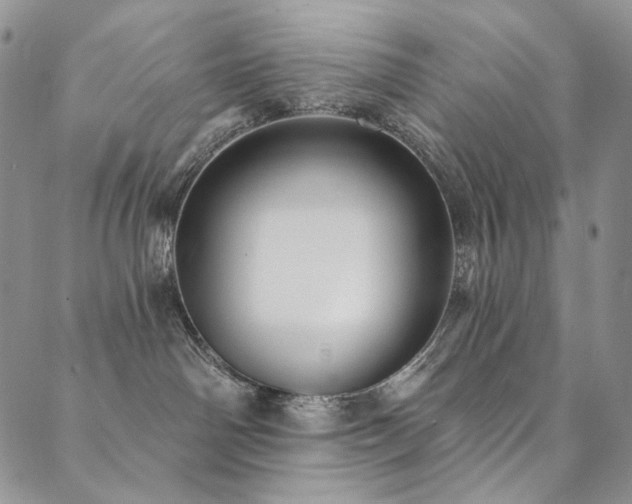 X0000090500142200707131401