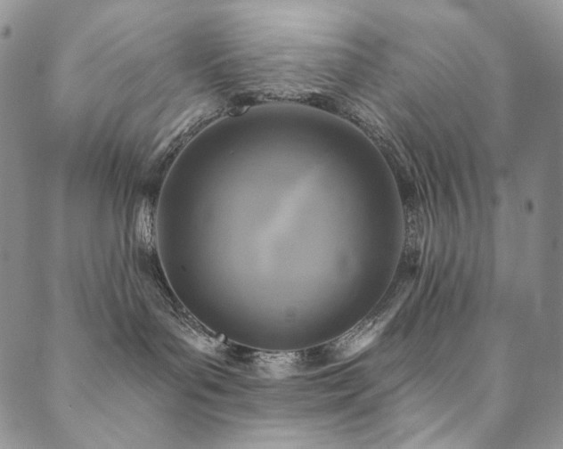 X0000090500143200707131401