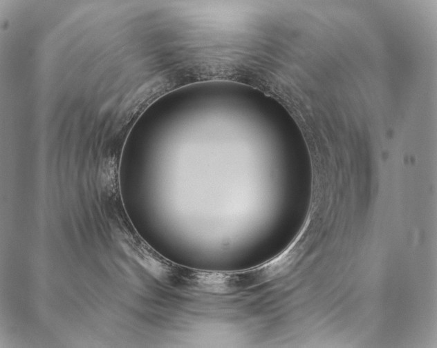 X0000090500144200707131401