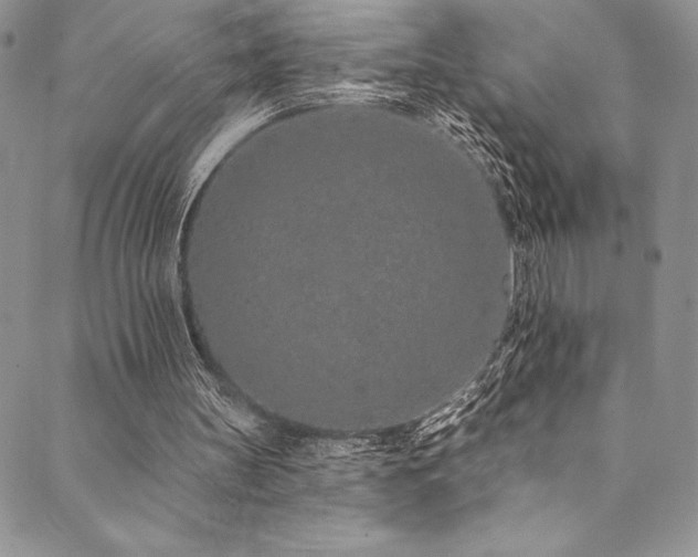 X0000090500147200707131400