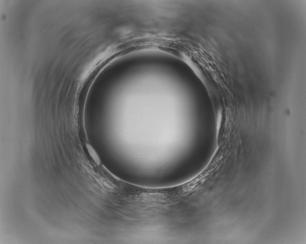 X0000090500150200707131400