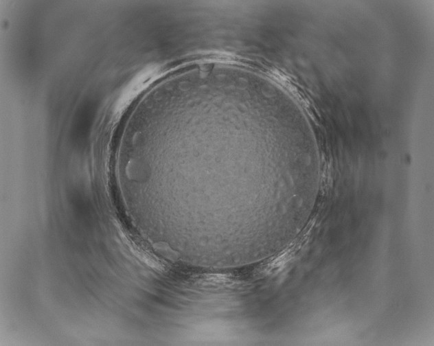 X0000090500151200707131401