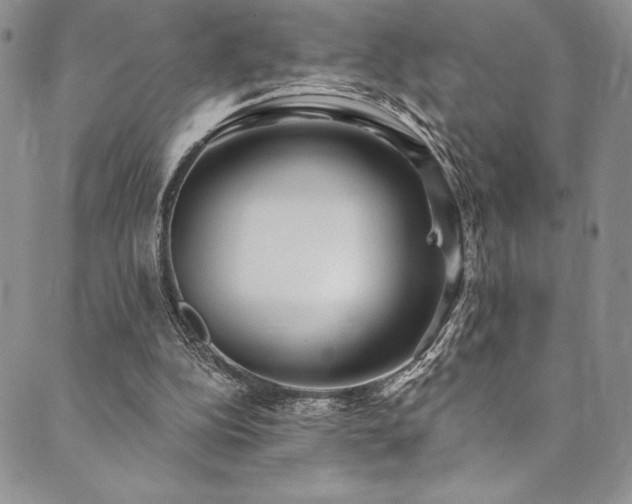 X0000090500152200707131401