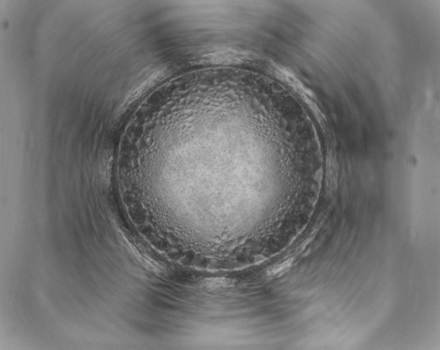 X0000090500153200707131401