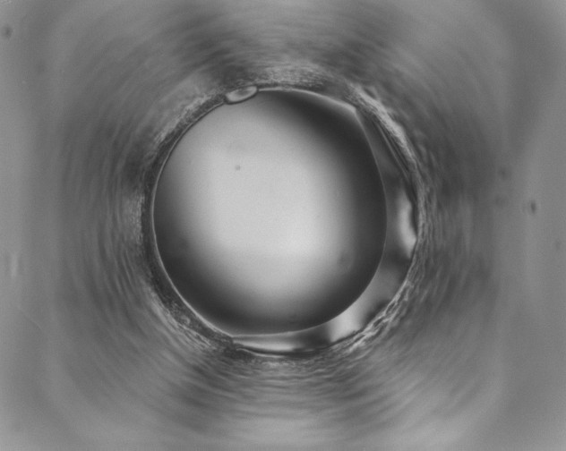 X0000090500154200707131401