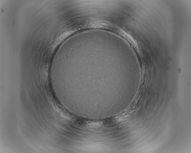 X0000090500155200707131401