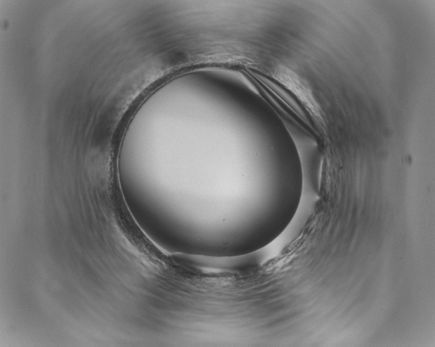 X0000090500156200707131401