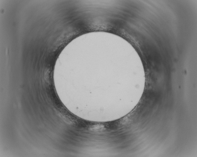 X0000090500162200707131401