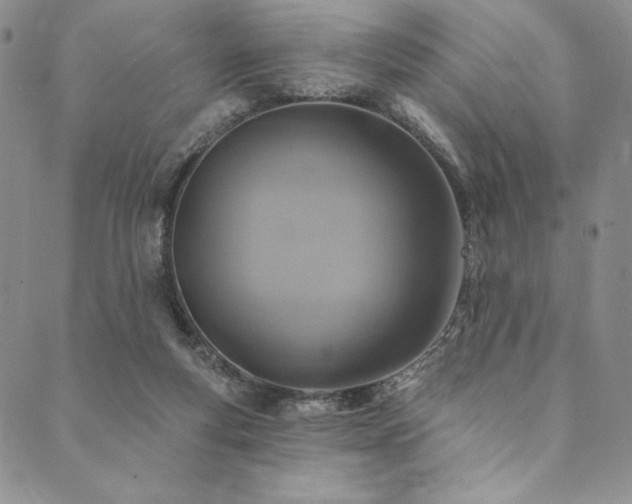 X0000090500163200707131401