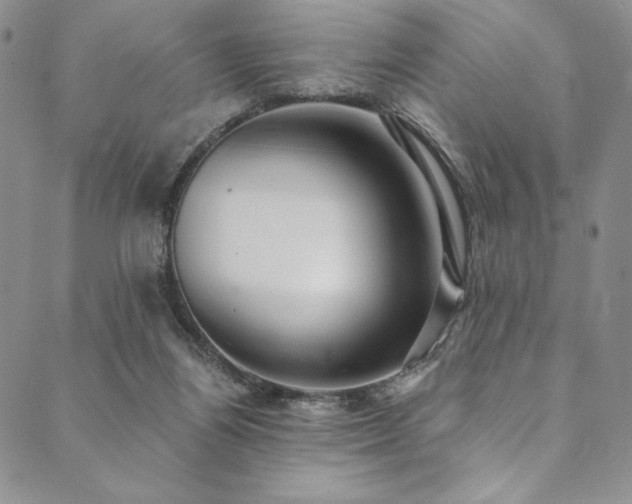X0000090500164200707131401