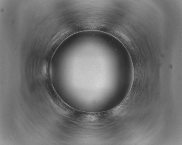 X0000090500166200707131401
