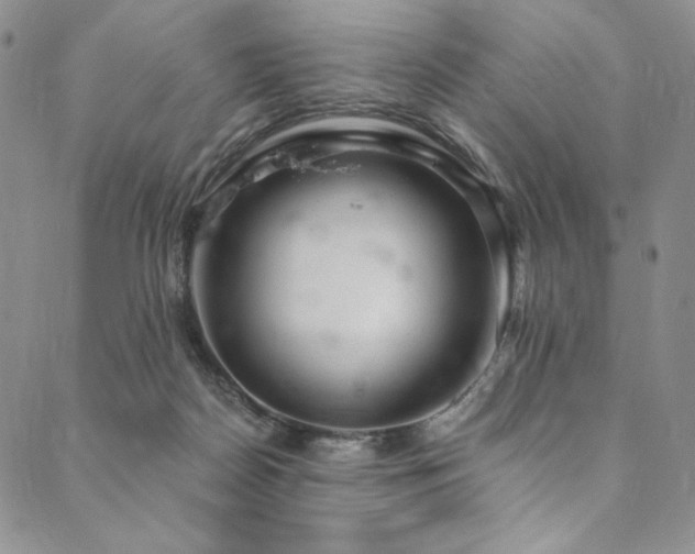 X0000090500170200707131401