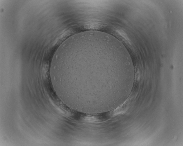 X0000090500171200707131401