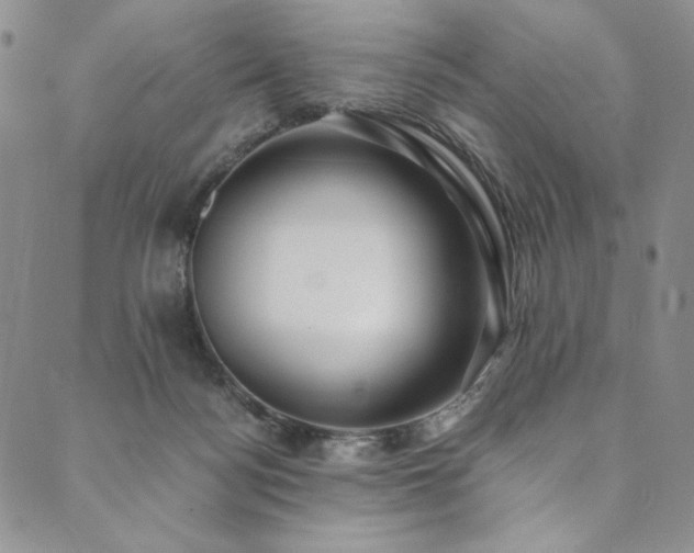 X0000090500172200707131401