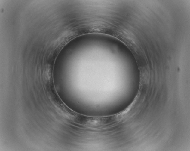 X0000090500174200707131401