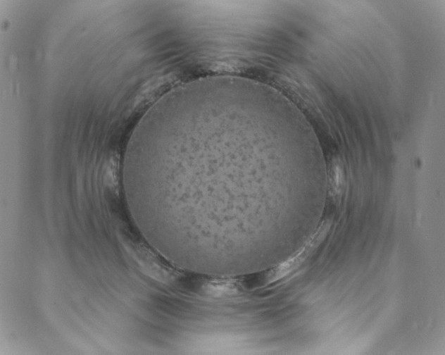 X0000090500175200707131401