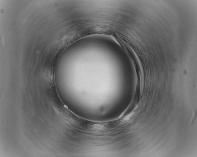X0000090500176200707131401