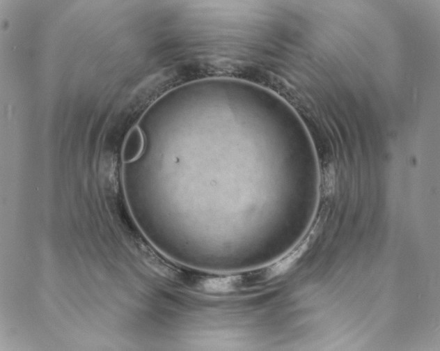 X0000090500178200707131401