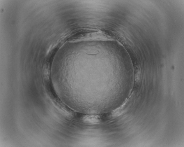 X0000090500179200707131401