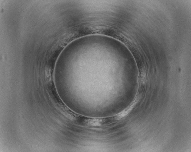 X0000090500182200707131401
