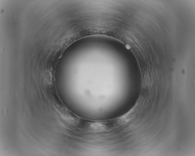 X0000090500183200707131401