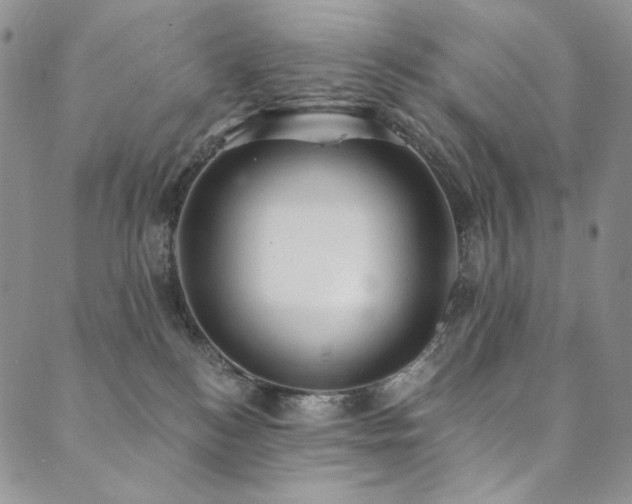 X0000090500184200707131401