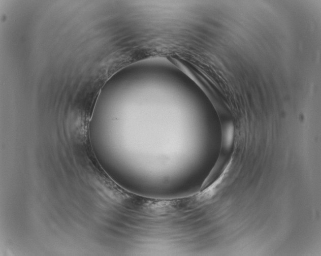 X0000090500186200707131401