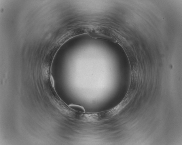 X0000090500188200707131401