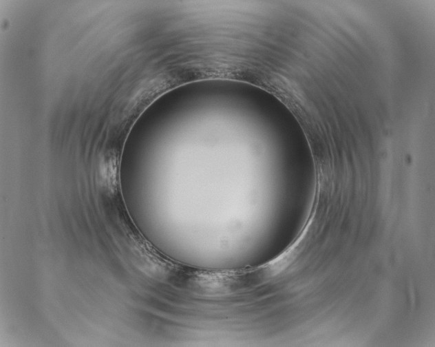 X0000090500190200707131401