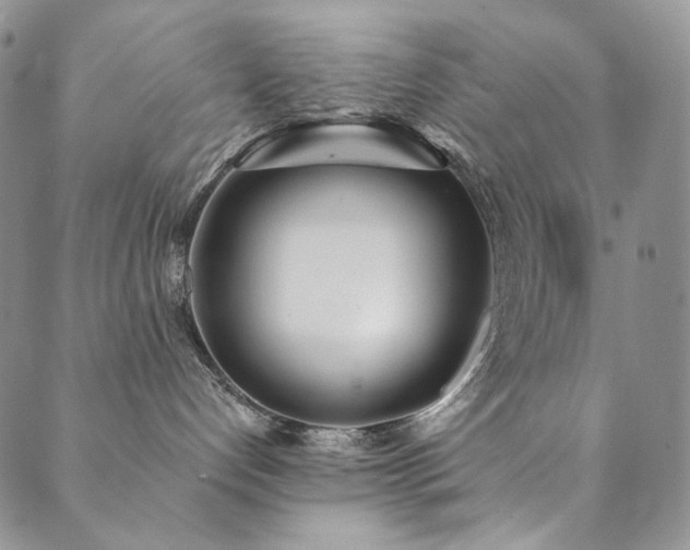 X0000090500192200707131401
