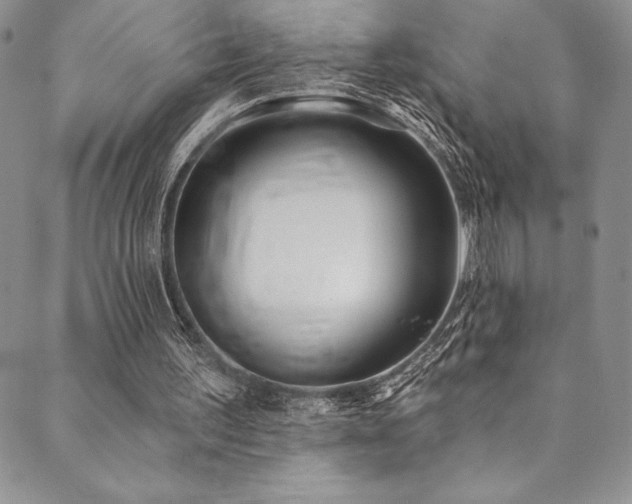 X0000090500195200707131400
