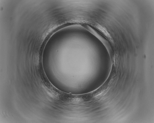 X0000090500204200707131400