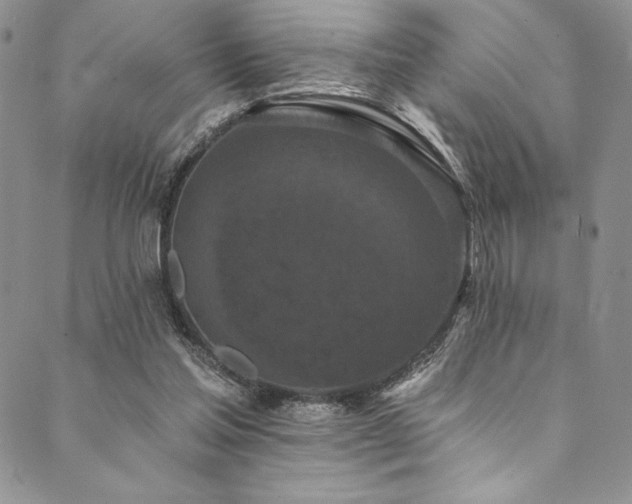 X0000090500205200707131400
