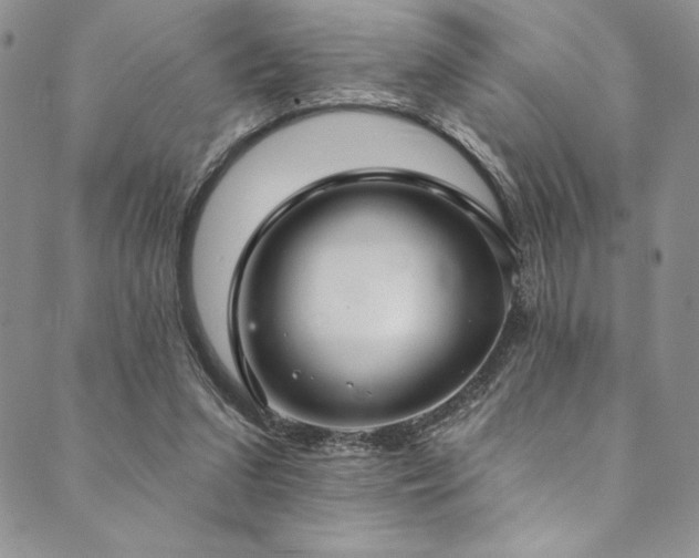 X0000090500207200707131400