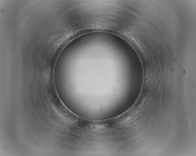 X0000090500208200707131400